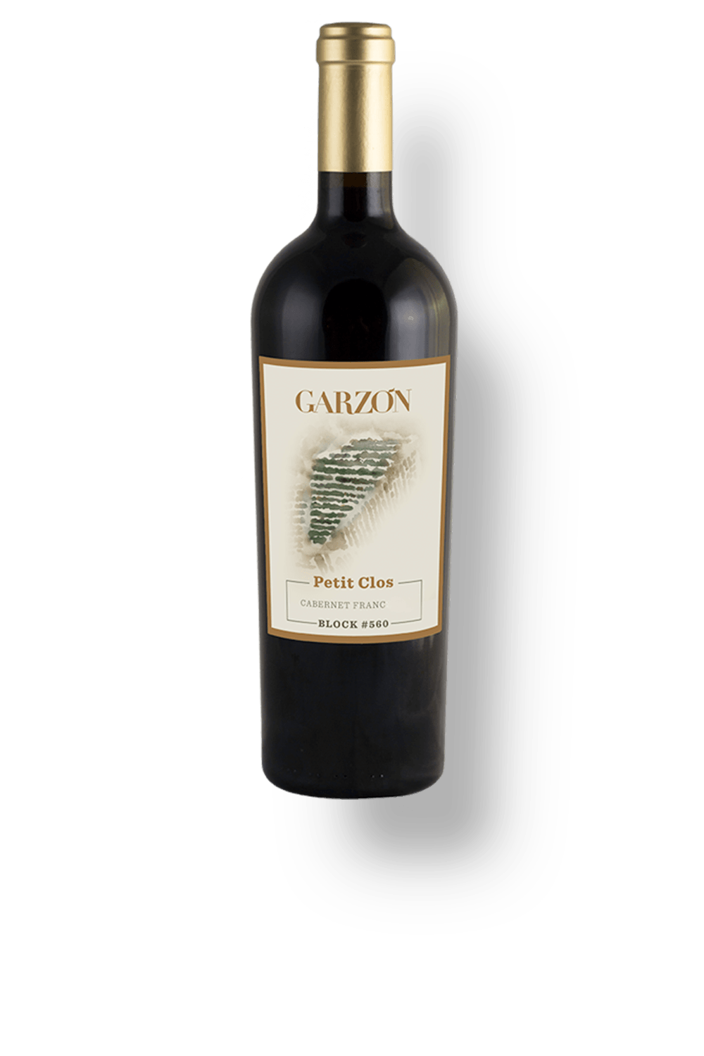 Vinho Bodega Garzon Tinto Seco Uruguai Petit Clos Cabernet Franc 2022 750ml